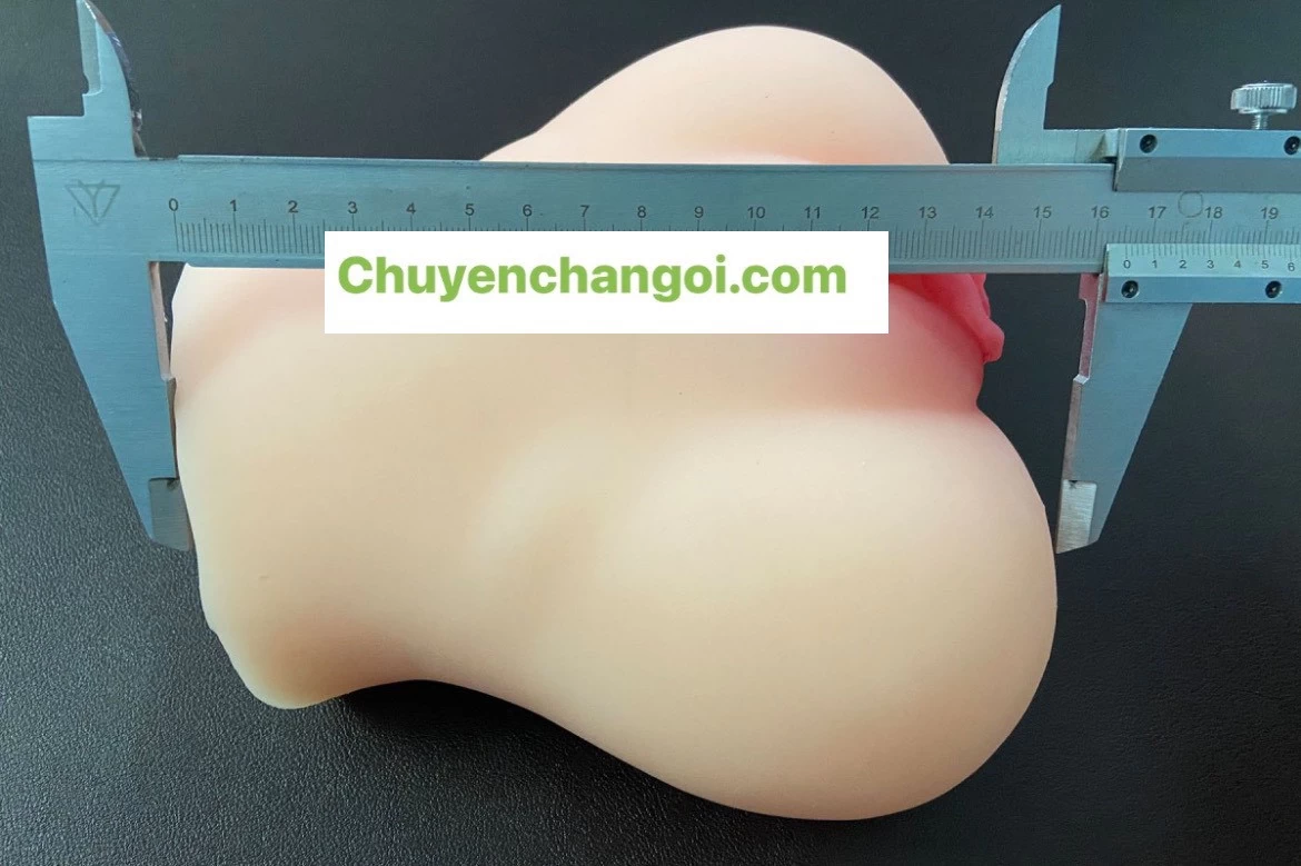 Âm Đạo Giả Nằm Ngửa 3D