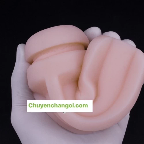 Âm đạo giả Premium ngụy trang chai rượu