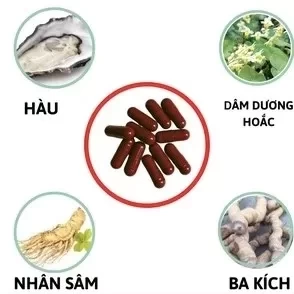 Viên uống Bổ Hoàn Dương (50 viên) tặng1 hộp Tinh chất vitamin tổng hợp tăng cường sinh lý
