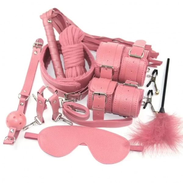 Đồ chơi bạo dâm nhiều món da mịn, lông mềm cực hot màu hồng