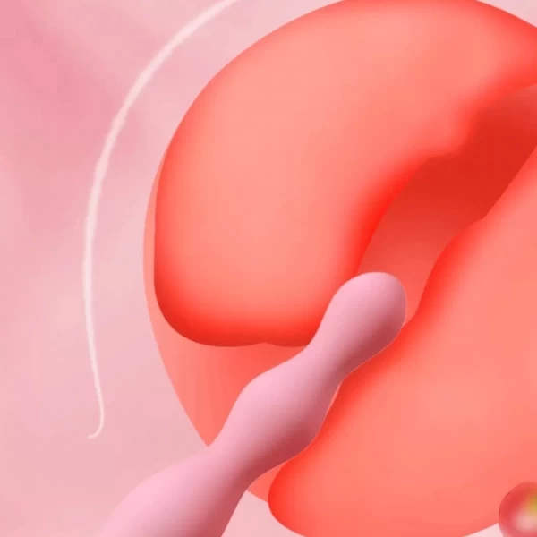 Que rung kích hậu cho nam và nữ