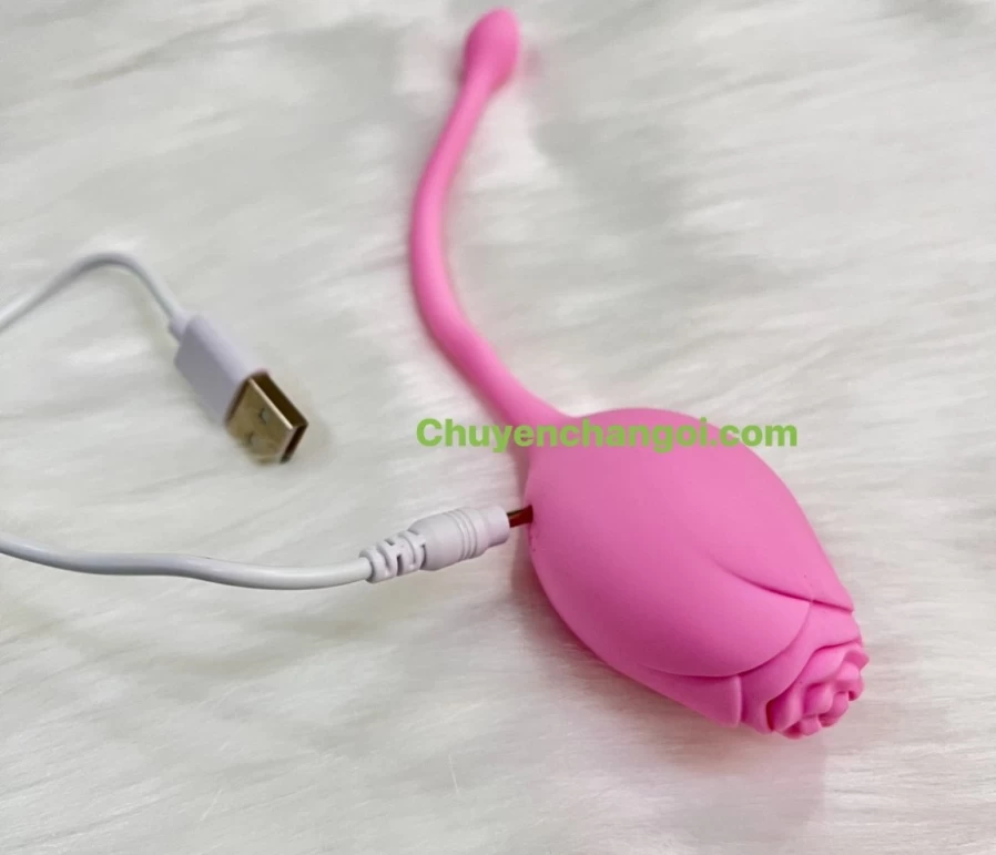 Trứng rung tình yêu hoa hồng điều khiển từ xa