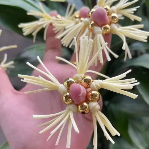 Vòng đeo dương vật bi râu chống xuất tinh sớm