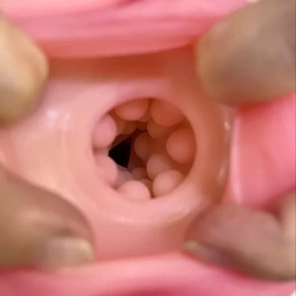 Máy âm đạo tự động rung thụt bú mút GloryFox