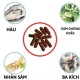 Bộ đôi Bổ Hoàn Dương Plus x 2 và Tinh chất vitamin tổng hợp tăng cường sinh lý Bộ đôi Bổ Hoàn Dương Plus x 2 và Tinh chất vitamin tổng hợp tăng cường sinh lý
